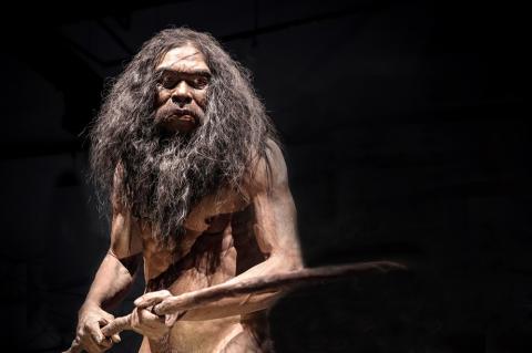 Homo heidelbergensis at the Rama 9 Museum in Bangkok, Thailand