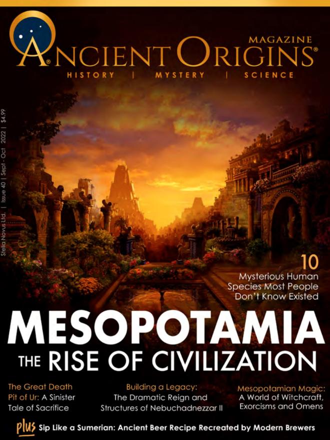Mesopotamia The Rise of Civilization